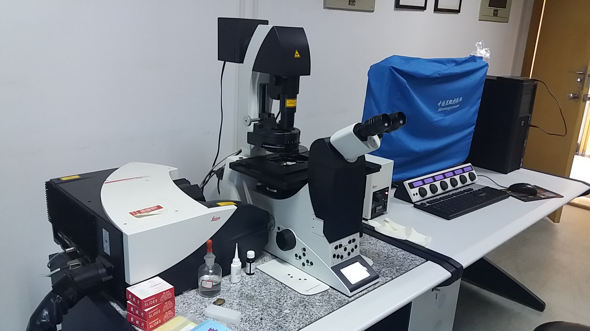 在使用显微镜前需要对显微镜的目镜和物镜进行调试