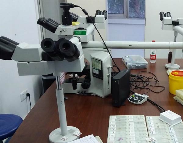 維修好的奧林巴斯10人共覽顯微鏡