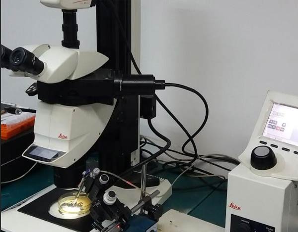 徕卡M205体式荧光显微镜维修