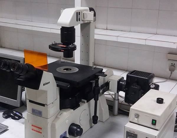 什么是金相显微镜的电子目镜？