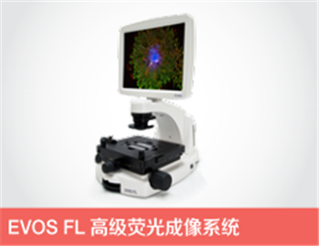 EVOS高级荧光成像系统