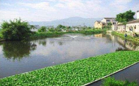 重慶第一個國家級濕地公園，在污水處理廠的基礎上興建而成