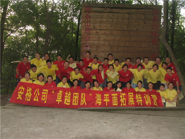 安格公司