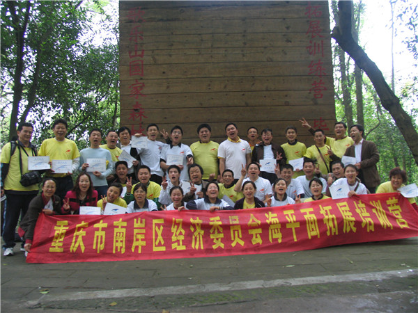 南岸区经济委员会