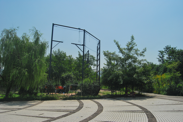 白市驿花卉园基地