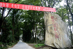 歌乐山拓展训练基地