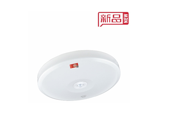 直邊應急吸頂燈