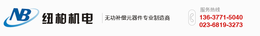 重庆纽柏机电设备有限公司_Logo