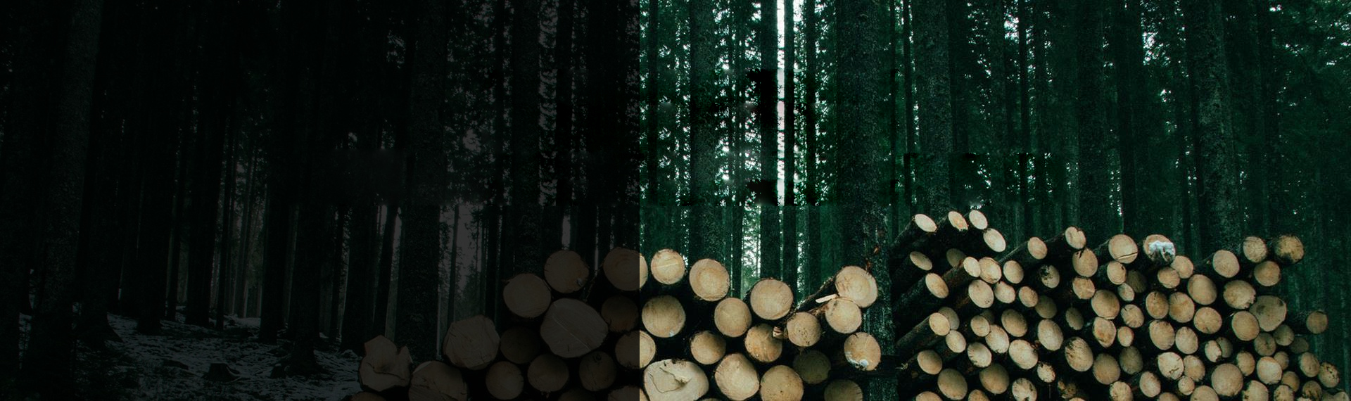 重庆云杉板材-重庆SPF加松-进口烘干木材就找辰森建材