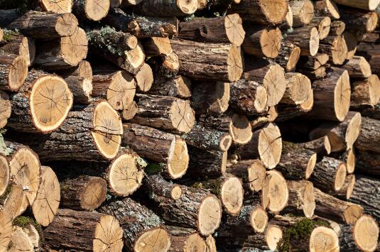 木材的貯存方法有幾種！
