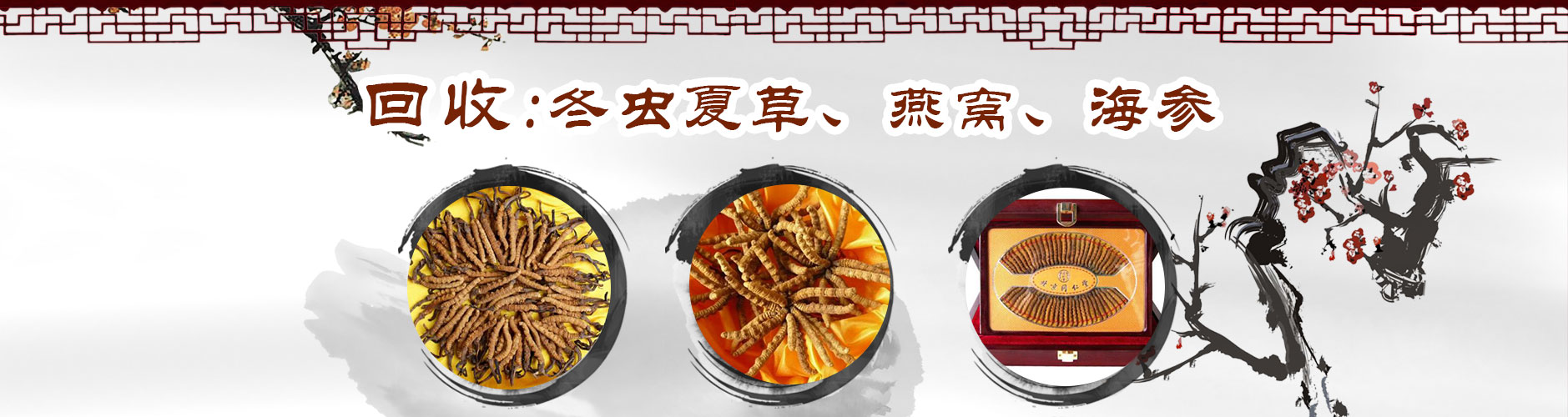 重庆冬虫夏草回收