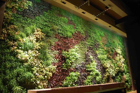 关于植物墙需要具有的五大元素