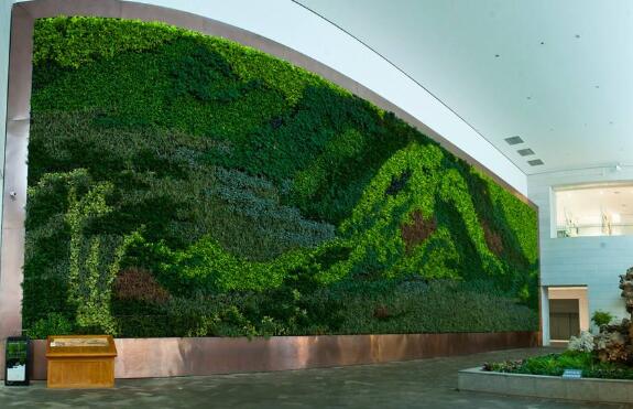 植物墙是一种艺术的植物幕墙形式或立体园艺形式
