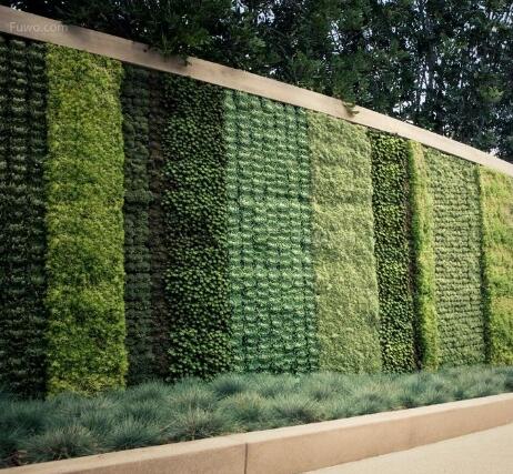 室内植物墙的制作的选择方法