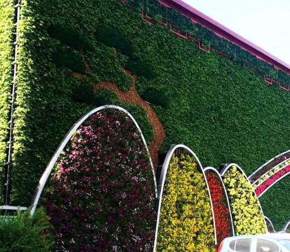 不同墙体安装仿真植物墙的方法