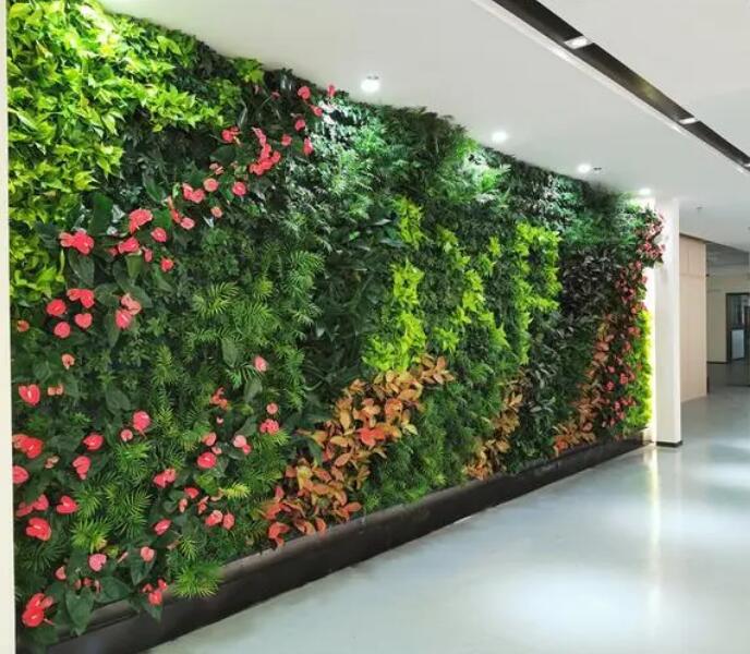 装饰植物墙的分类