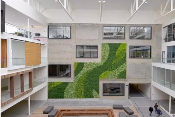 建造高层室内植物墙应注意的技术问题
