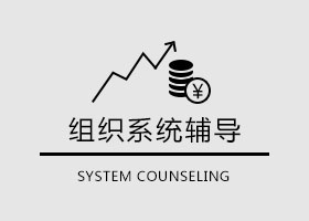 組織系統輔導