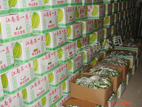 安装小型果蔬保鲜冷库
