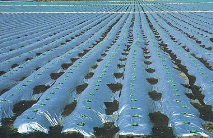 西安农用地膜,青海最大农用地膜生产基地建成投产,西安超越塑业