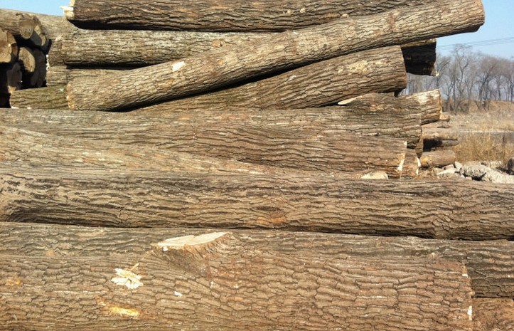 襄阳楸木厂家分享楸木加工木材的几种保存方法