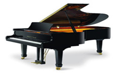 沈阳钢琴培训来讲述钢琴都有哪些维修与保养方法