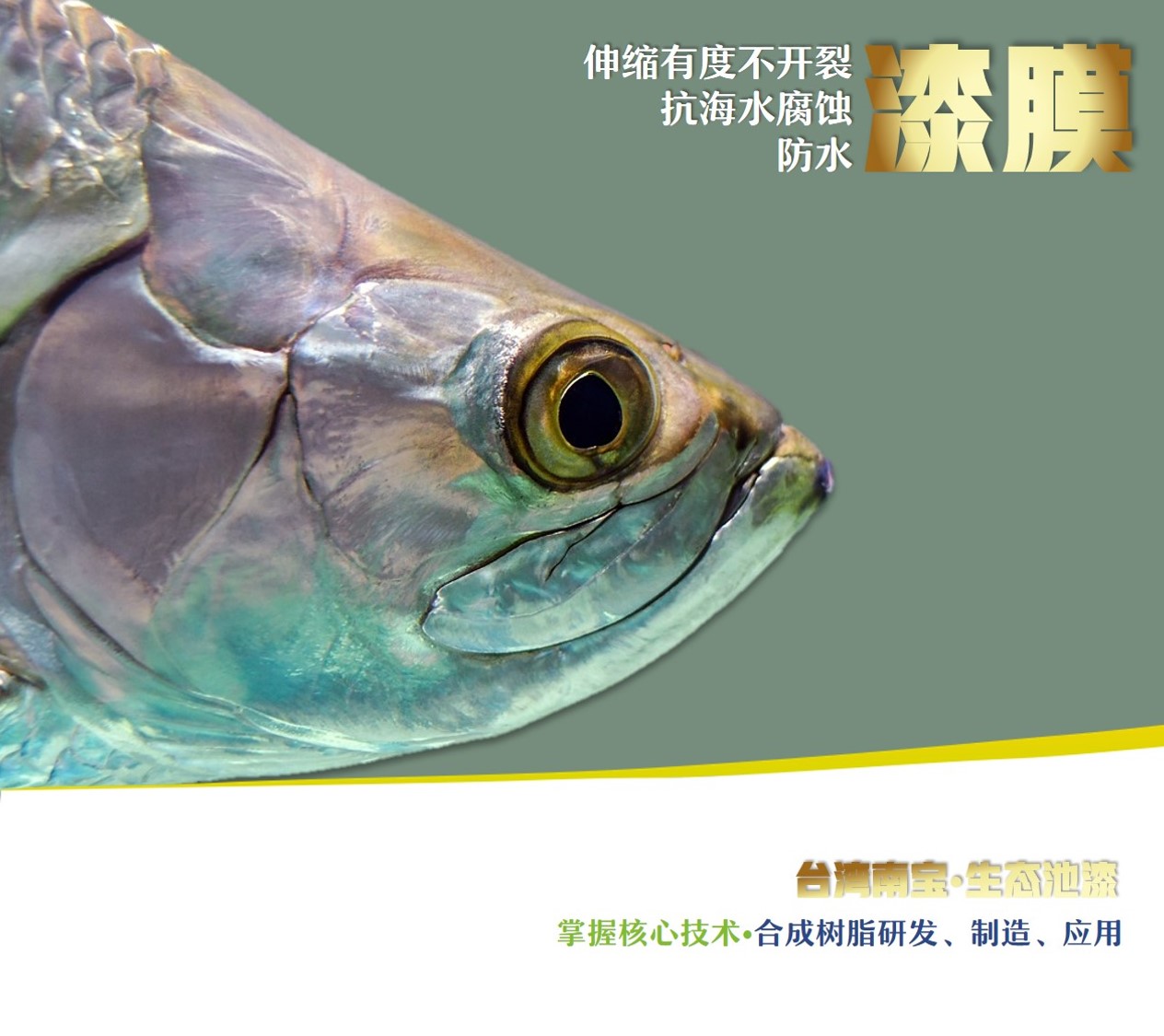 南寶生態池漆