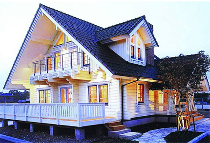 Log cabin villa 5