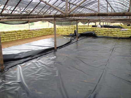 覆膜防水毯膨润土防水毯工业往后的展开空间还非常大