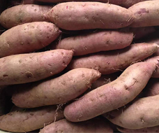 在蔬菜市场上目前红薯批发与零售价格你知道吗