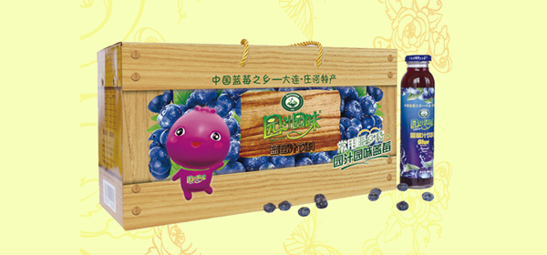 阜阳蓝莓汁-酸枣汁的做法和功效