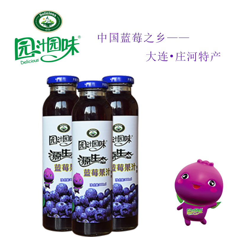 贺州蓝莓汁-排毒养颜果汁的制作方法