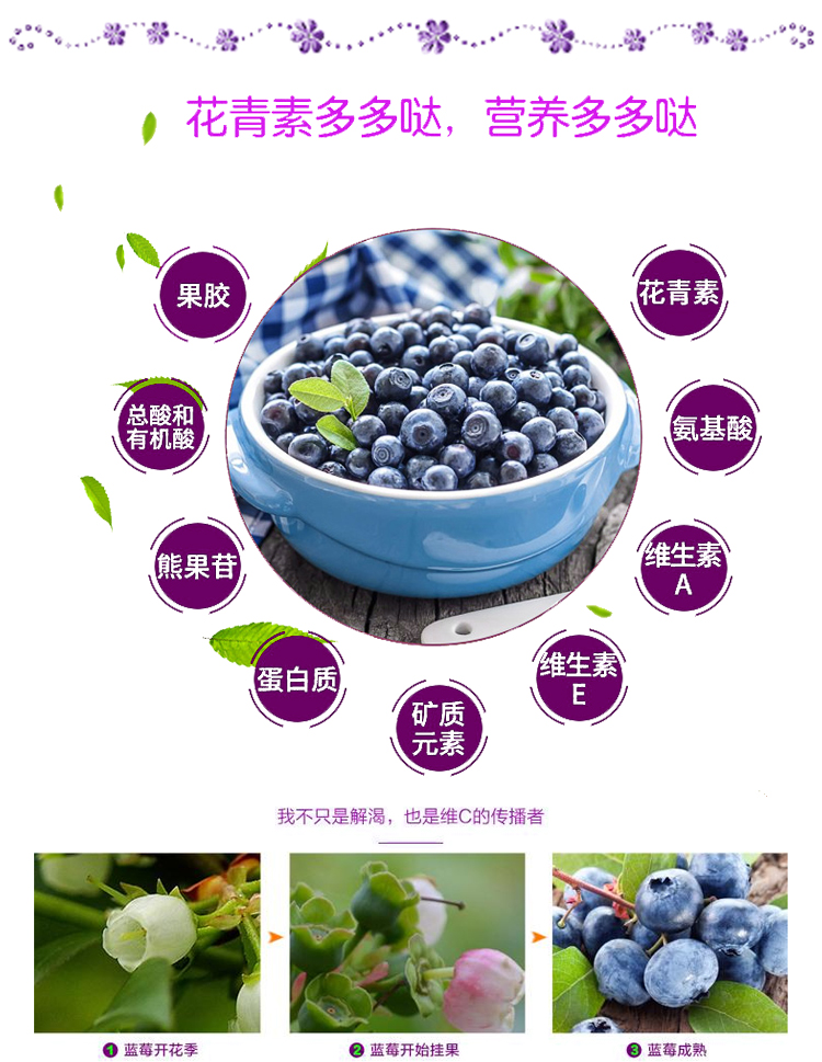 北海蓝莓汁-鲜榨果汁七大注意