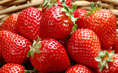 草莓苗小知识：草莓的营养价值