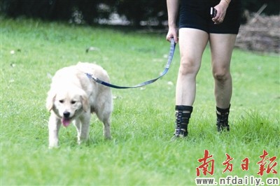老人公园遛狗腿部中箭系两名嫌疑人被拘留_芜湖市粉末喷涂设备