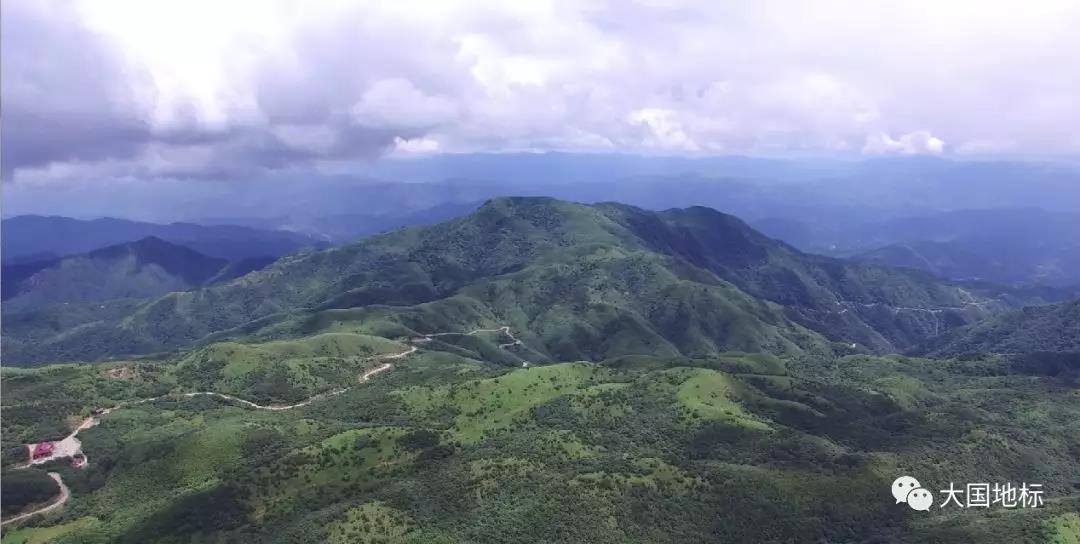 来自冰川纪的青钱柳:《解码中华地标》带您走进湖南城步， 一同解码青钱柳的苗乡情缘