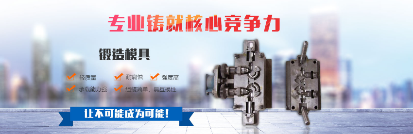 东营安阳压铸模具厂加入富海360做网站推广