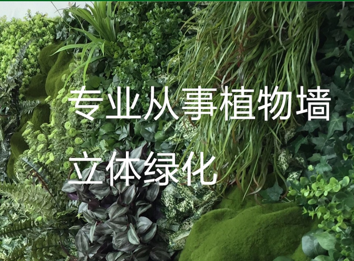 鞍山绿化植物墙公司就找深圳美丽田园仅一个月seo排名效果不错