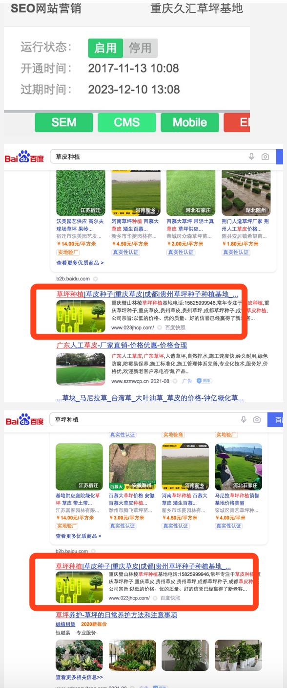 长沙草坪种植|草皮种植已用富海360网站seo系统4年再续2年
