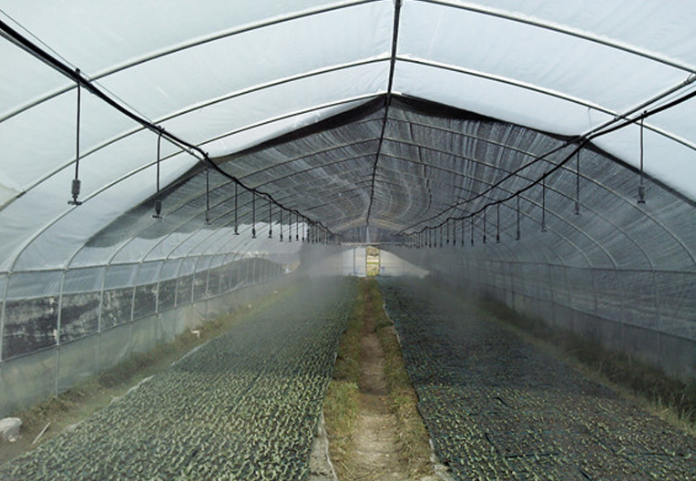 大棚蔬菜灌溉工程