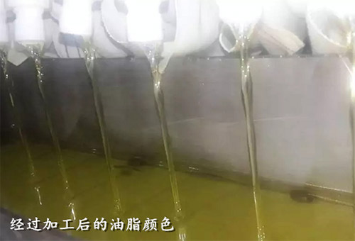 江苏动物油设备价格