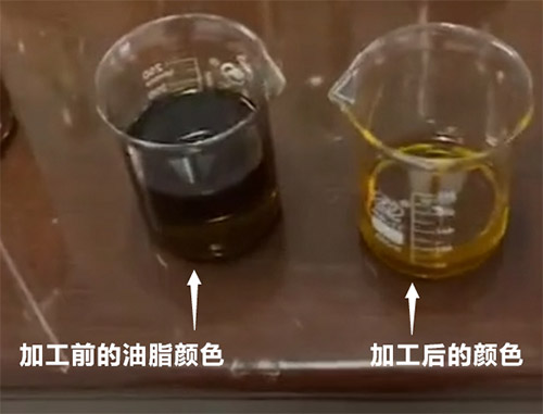 影响油脂脱色的制油工段 影响油脂脱色的制油工段