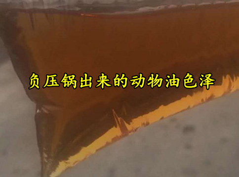 猪油精炼油设备