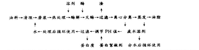 溶剂-水相酶解预处理取油工艺 溶剂-水相酶解预处理取油工艺