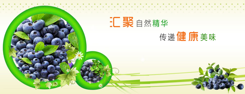 贵州蓝莓种植基地签约富海360网络推广