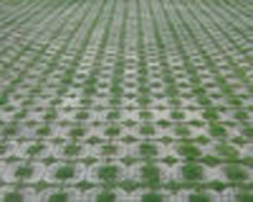 贵州草坪砖价格厂家告诉你草坪砖多少钱一平方？