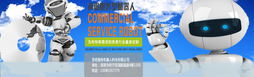 怒江商务机器人对机器人功能和用处介绍