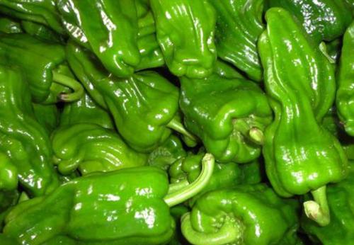 吃了西安蔬菜青椒能防哪些疾病？