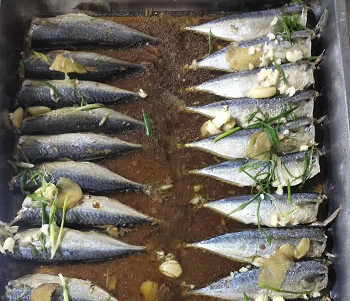 颐馨养老院今日份午餐