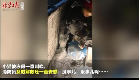 消防员救结冰小猫 福州甲醛治理公司分享